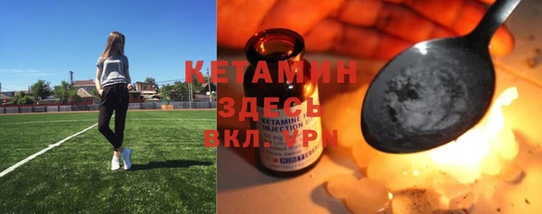 гидра Аркадак