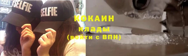 гидра Аркадак