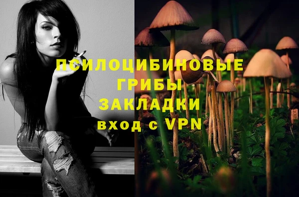 альфа пвп Армянск