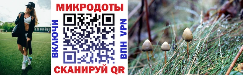 хочу наркоту  Баймак  omg зеркало  Псилоцибиновые грибы Psilocybe 